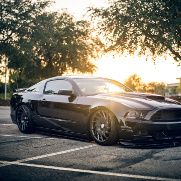 자동차 검사기간 조회