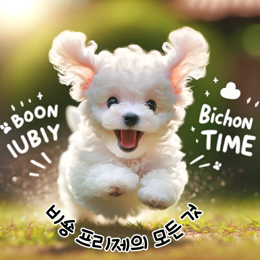 비숑프리제의 특징, 성격, 비숑타임