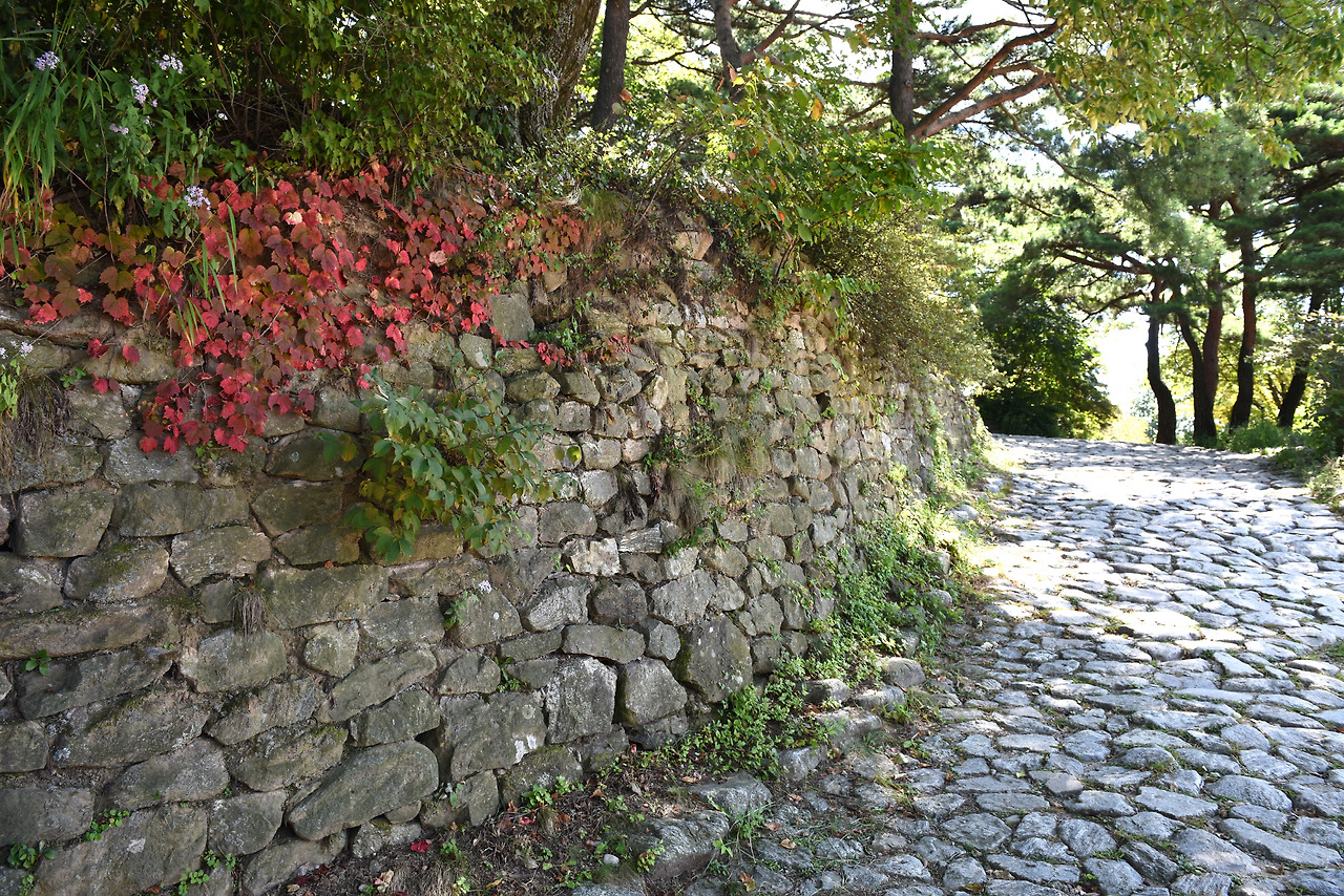 남한산성 관련사진