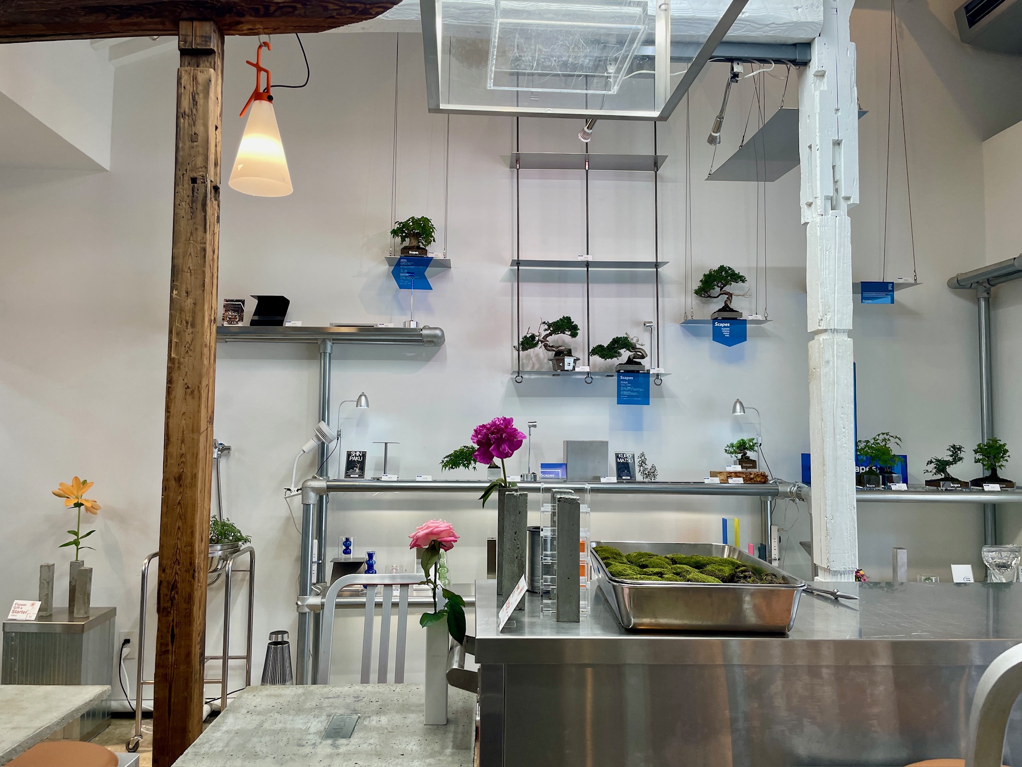 후쿠오카 분재 카페