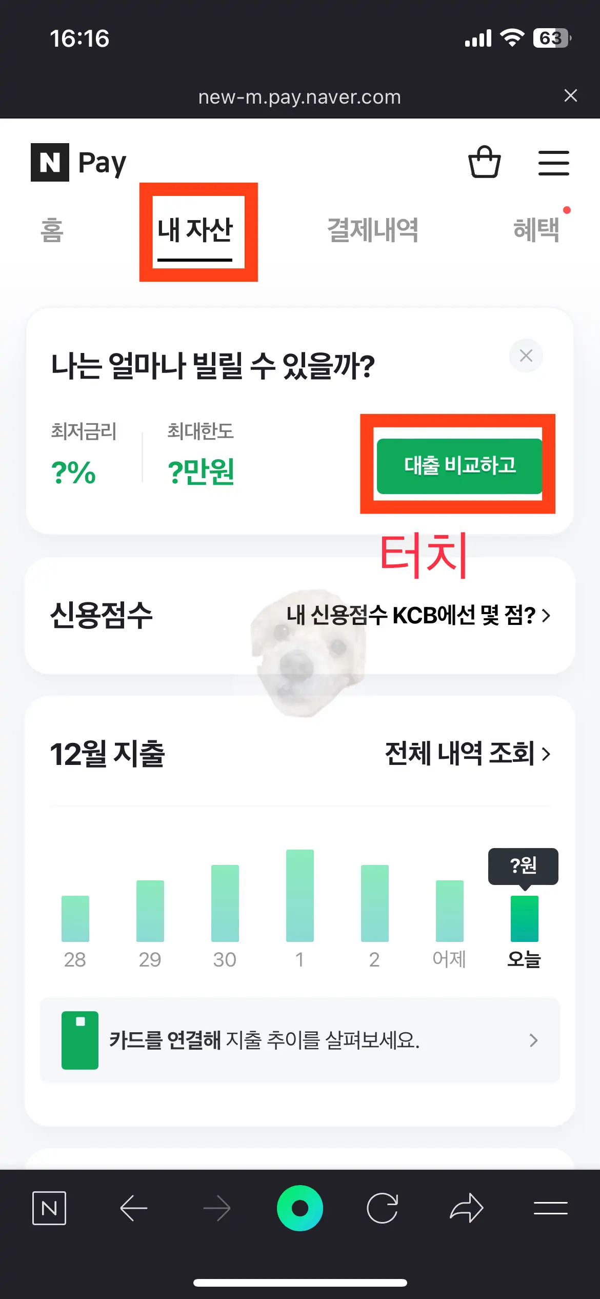 네이버 앱 내의 네이버페이 화면