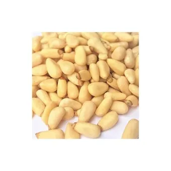 잣 재배 암수 구분 수분 수정 송이 관리_10