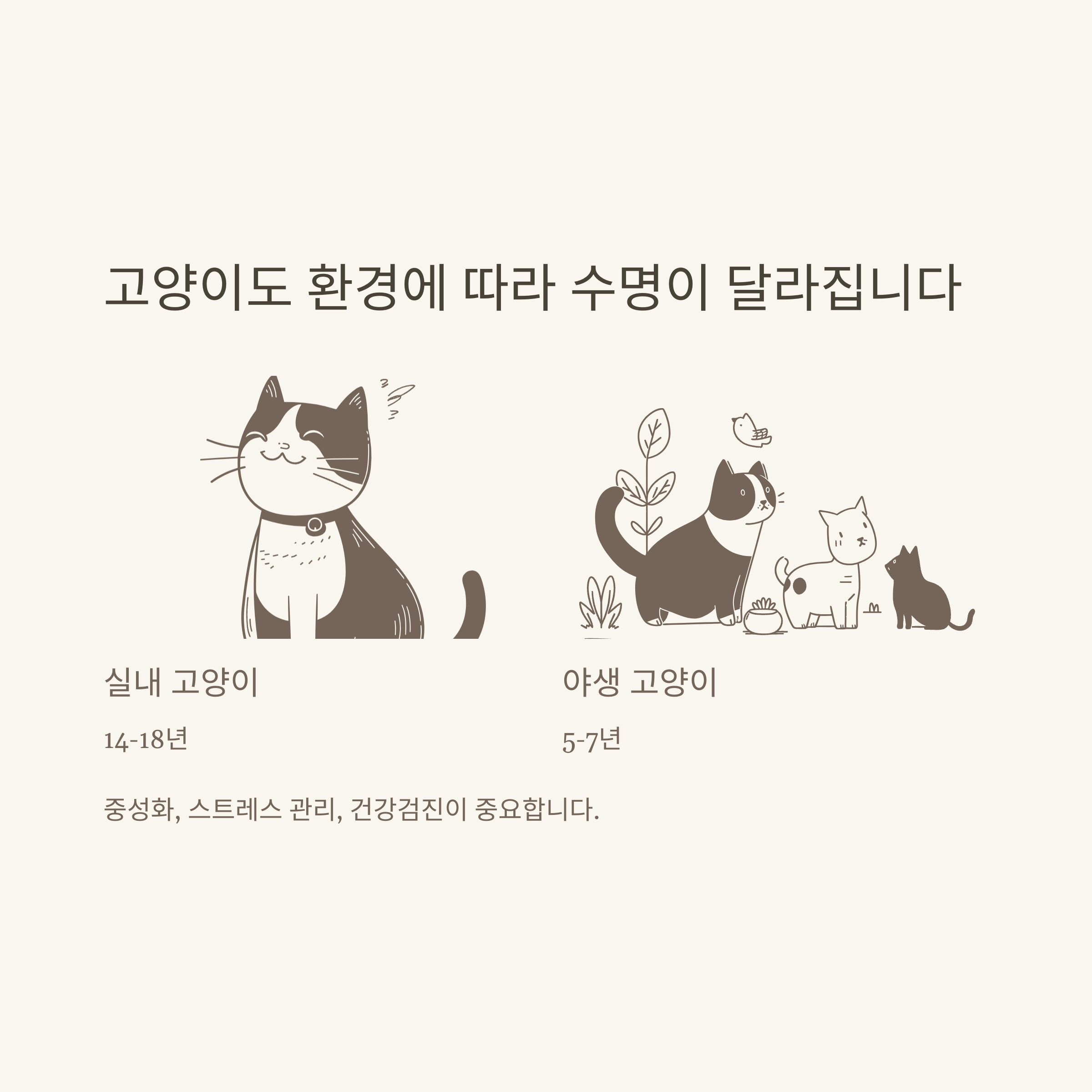 평균수명, 대한민국&middot;남자&middot;여자&middot;강아지&middot;고양이&middot;조선시대까지 확실하게 정리7