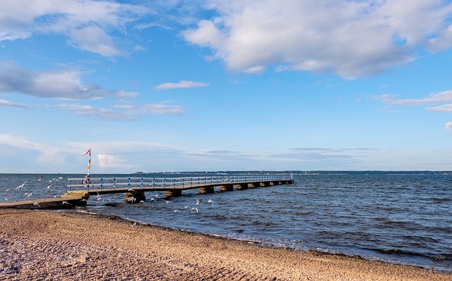 해수욕장 개장일 관련사진11