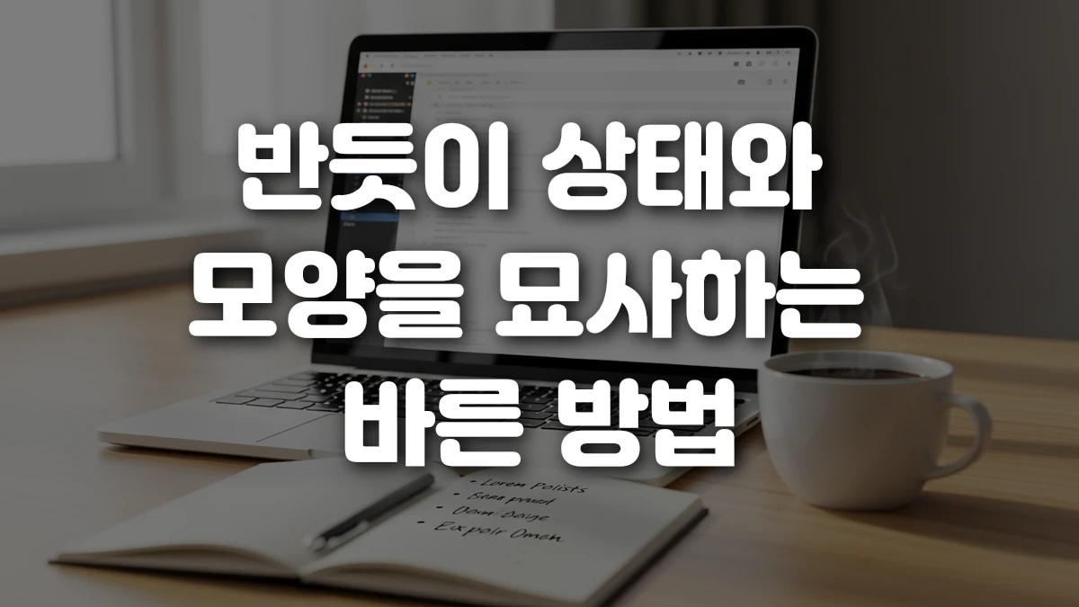 반듯이 상태와 모양을 묘사하는 바른 방법