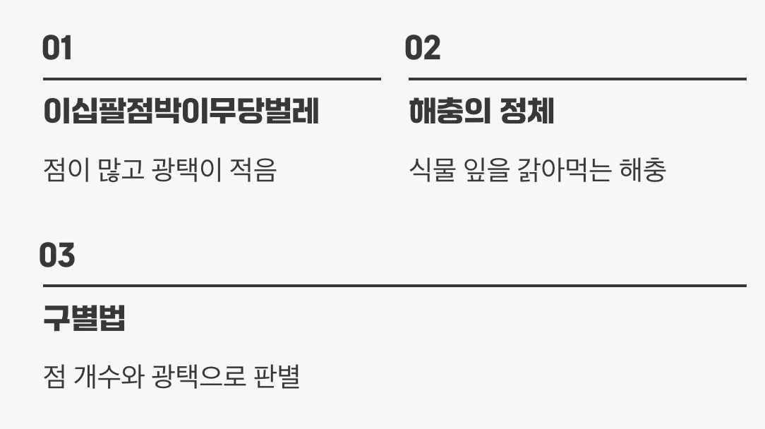 5. 조심! 채식주의 가짜 무당벌레