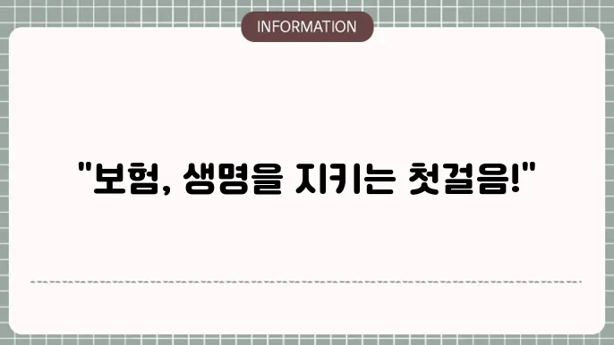 보험 비교