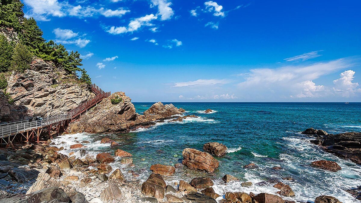 정동심곡 바다부채길 여행 정보