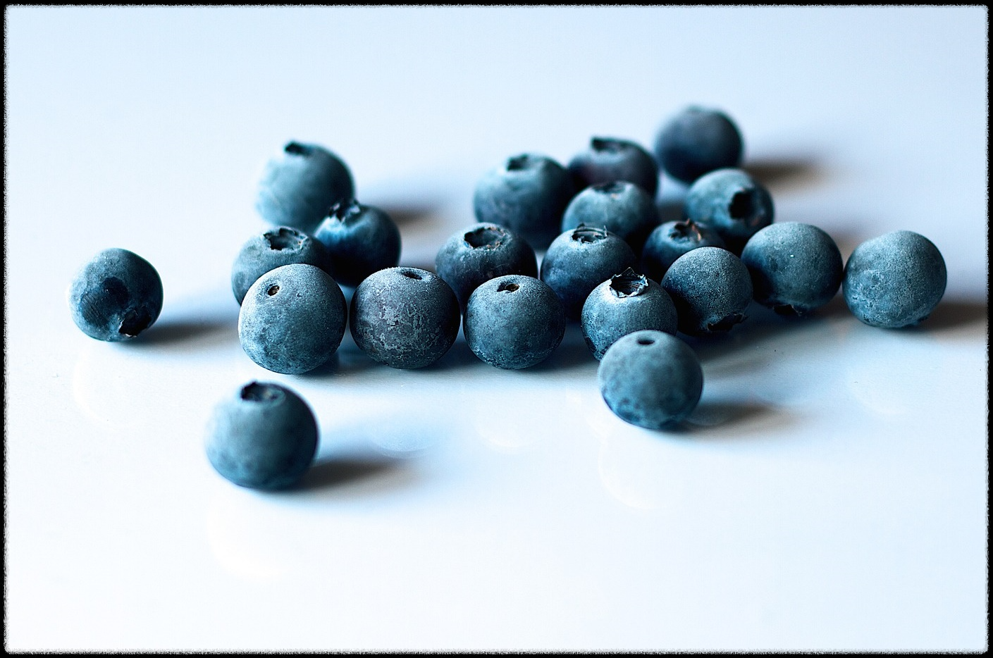 블루베리 효능 이미지_20