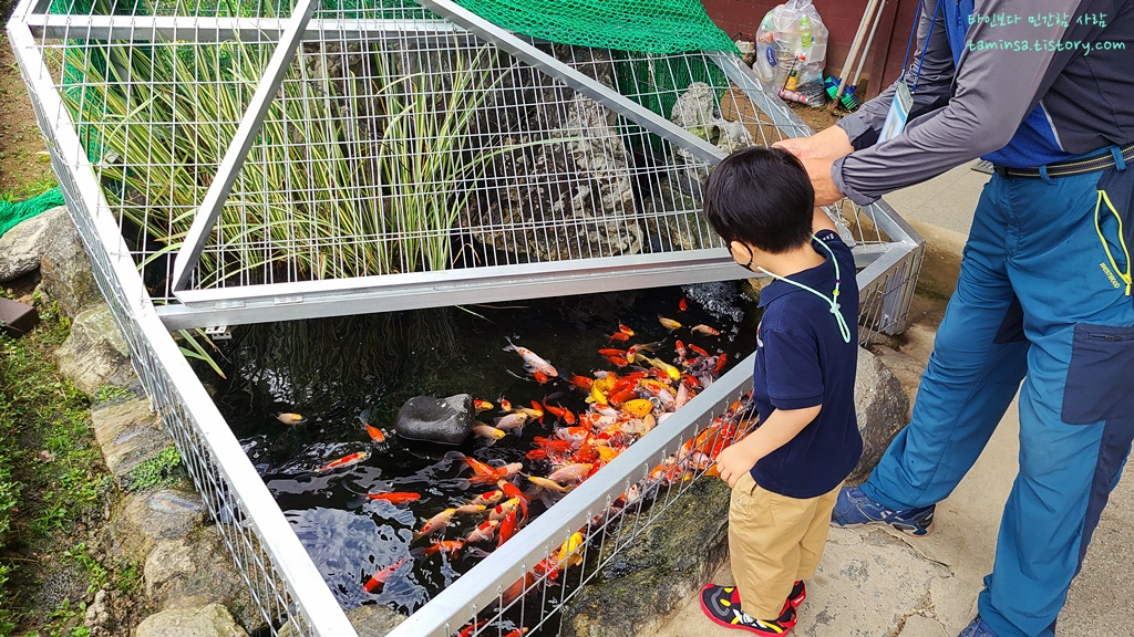 덕소자연사박물관-동물먹이주기체험