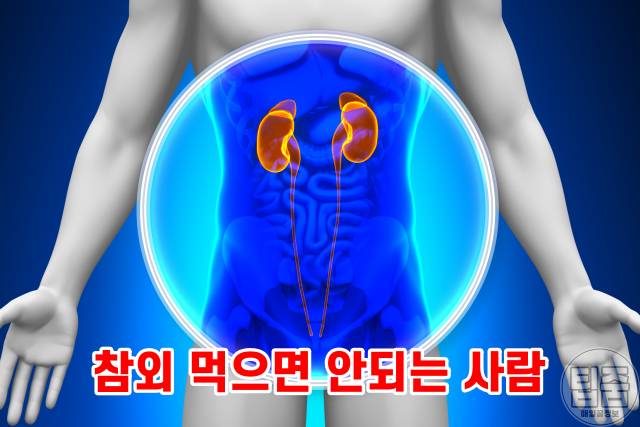 참외 효능 참외씨설사 참외 먹으면 안되는 사람 참외부작용 하루섭취량