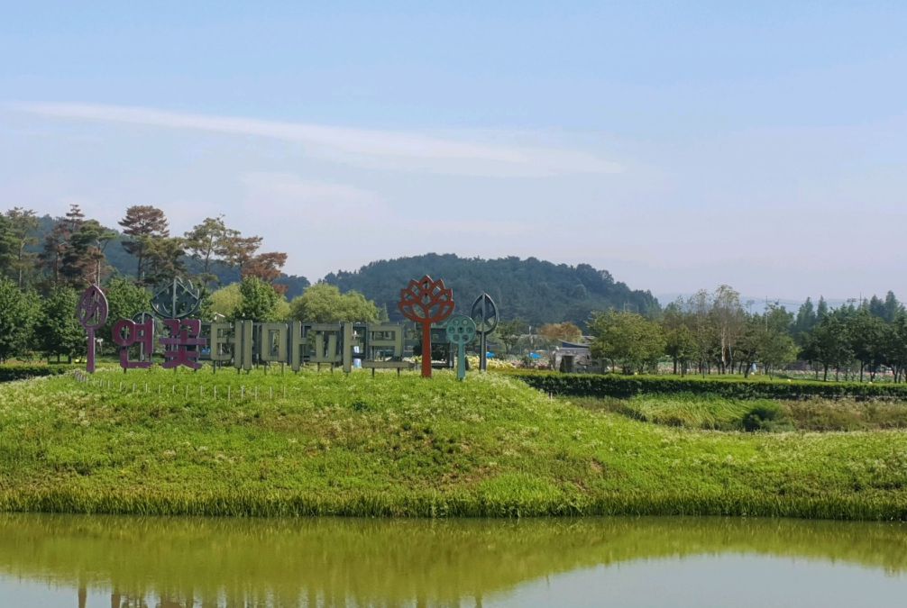 함안연꽃테마파크