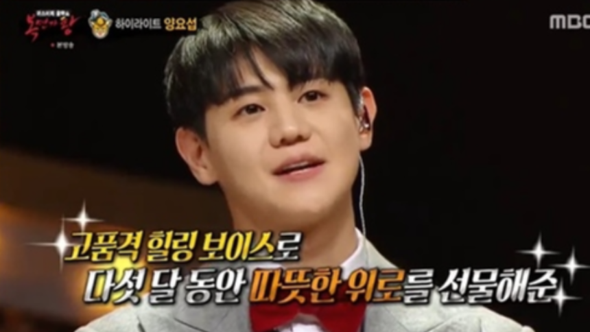 복면가왕 '부뚜막 고양이’ 양요섭, 8연승 신화의 비밀과 감동의 무대들