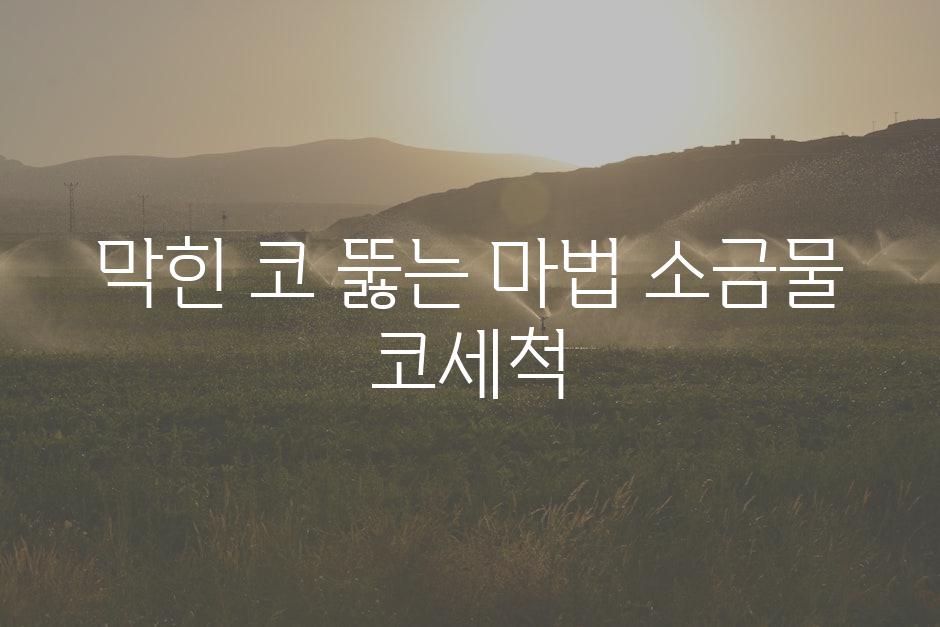 막힌 코 뚫는 마법 소금물 코세척