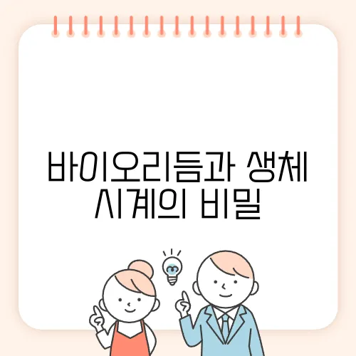 바이오리듬과 생체 시계의 비밀