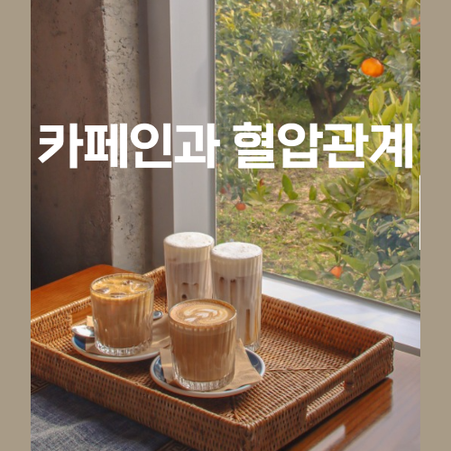 카페인과 혈압 상관관계