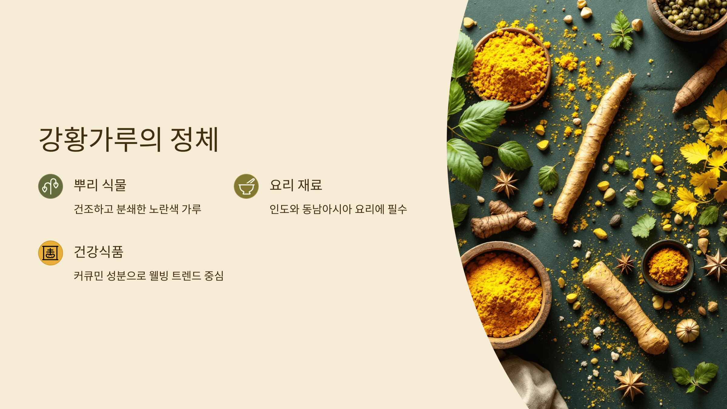 강황가루 사진입니다.