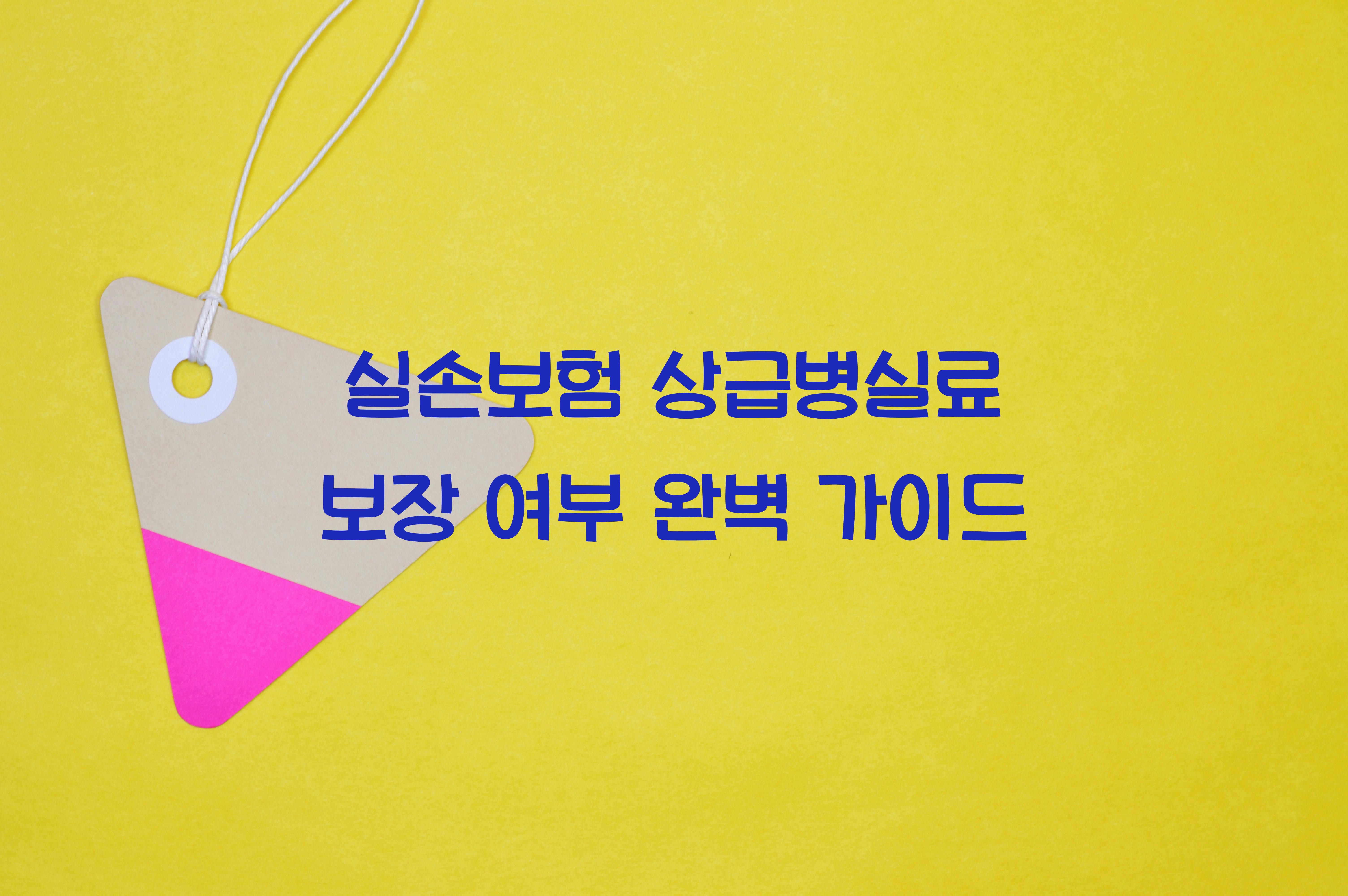 실손보험 상급병실료 보장 여부