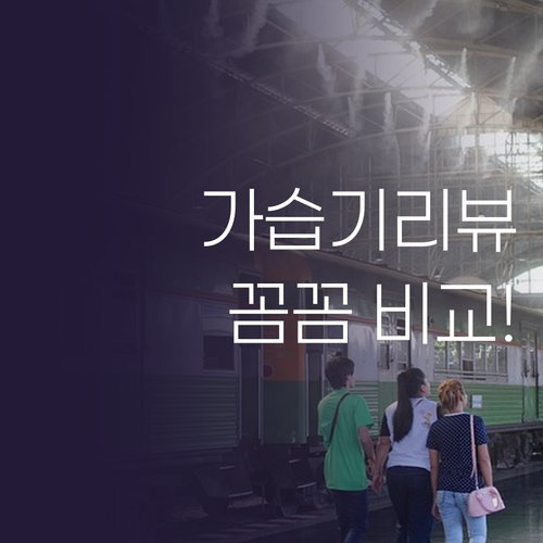 겨울철 필수템 가습기 내돈내산 리뷰로..