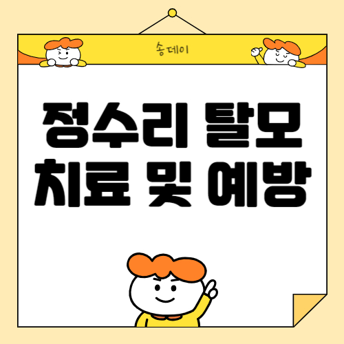 정수리 탈모 원인 및 해결방법,정수리 탈모 예방 방법 총 정리