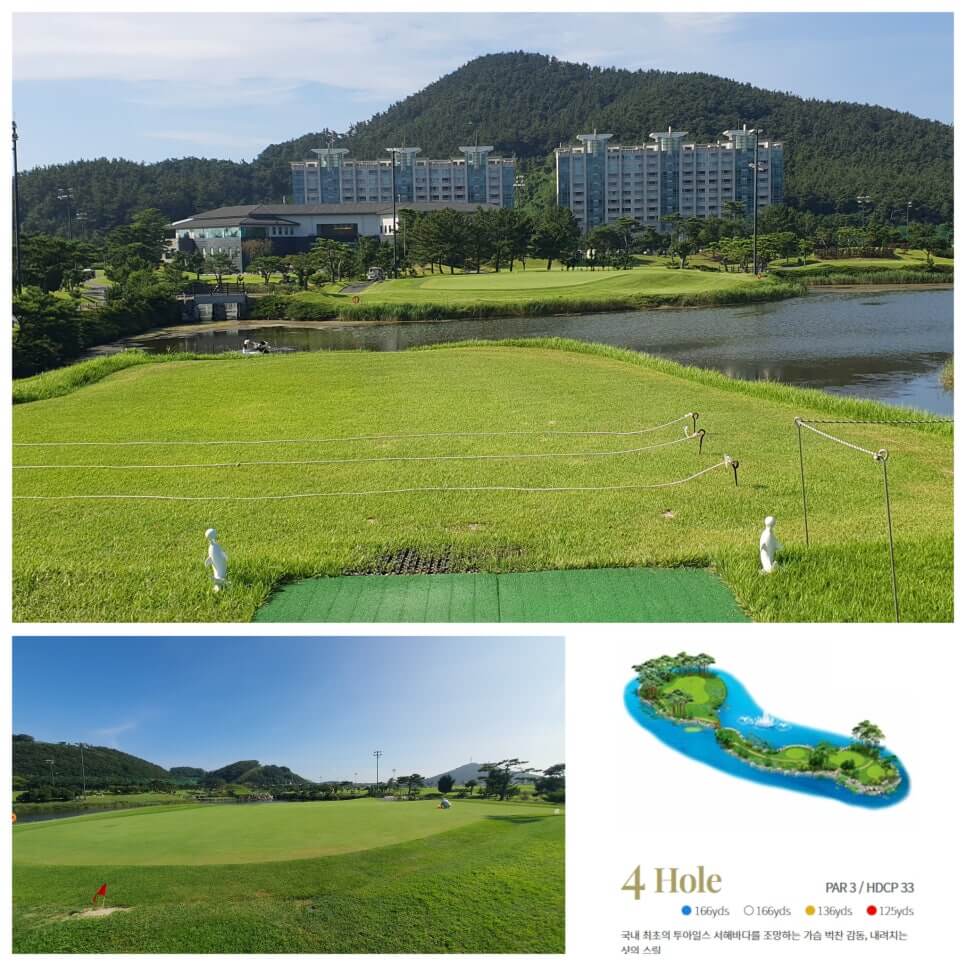 골프장 경험담 태안 스톤비치CC 완벽 가이드 서해 바다와 맞닿은 프리미엄 골프명소