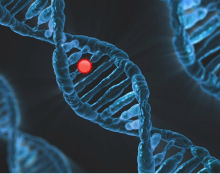 맞춤형 건강 데이터 & 유전자 정보 투자: 개인화 의료의 미래