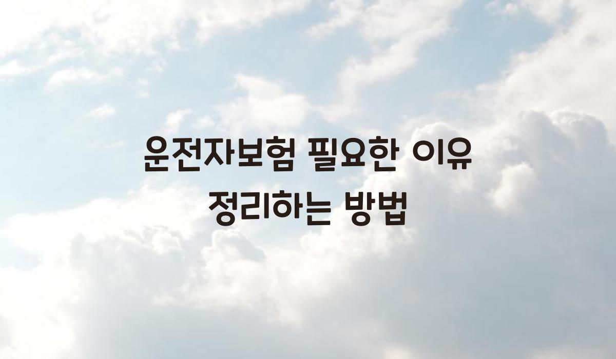 운전자보험 필요한 이유 정리하는 방법