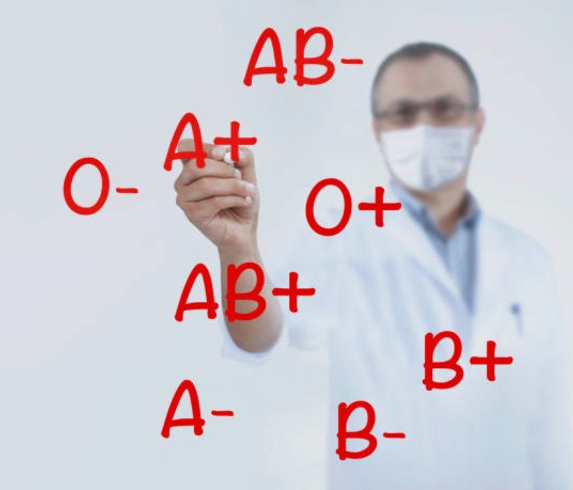 혈액형별 음식궁합