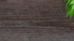 Tile 15