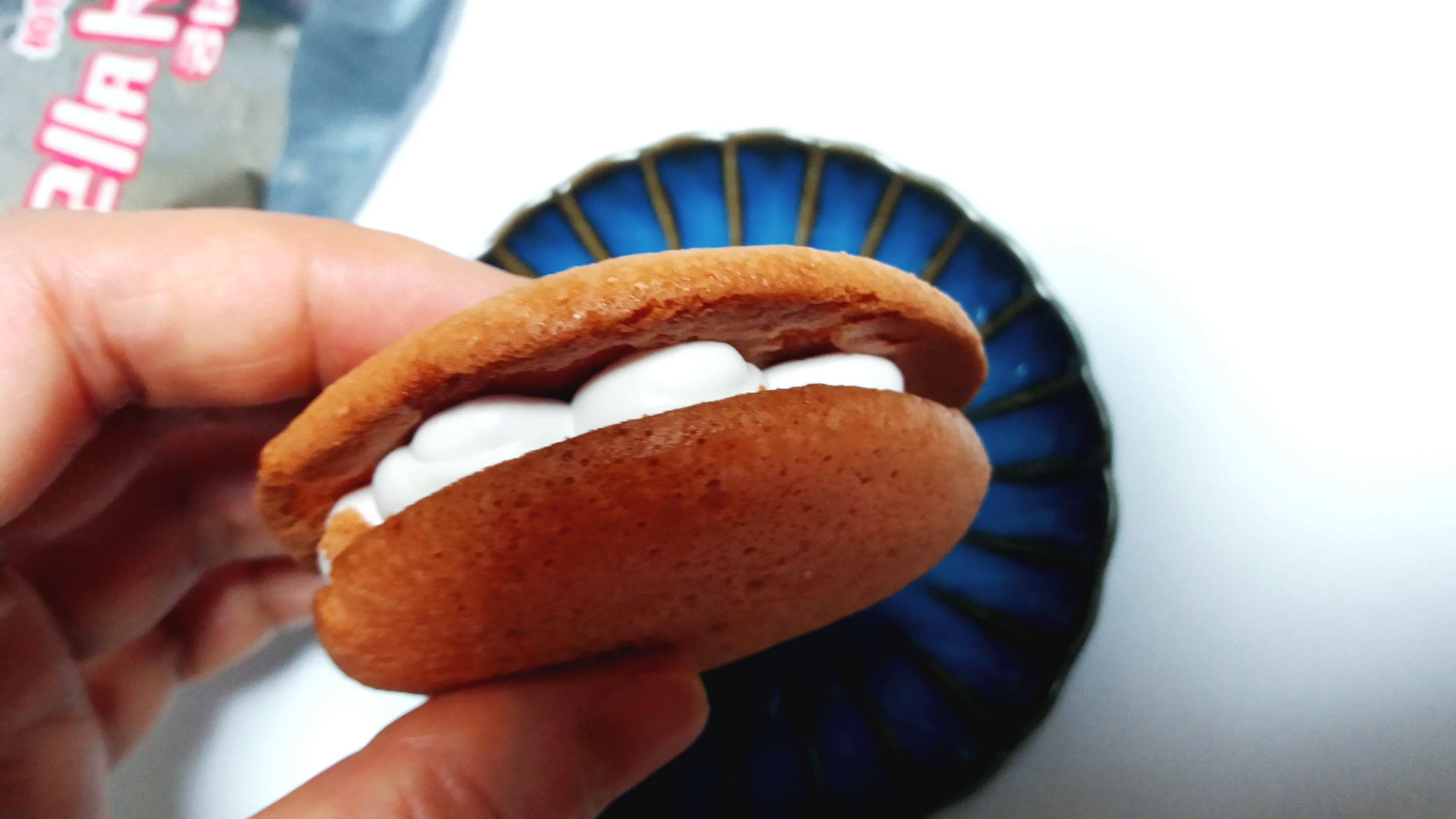 ํ๋ ์ฌ๋ฒ ๋ฆฌ ๋ณต์ญ์