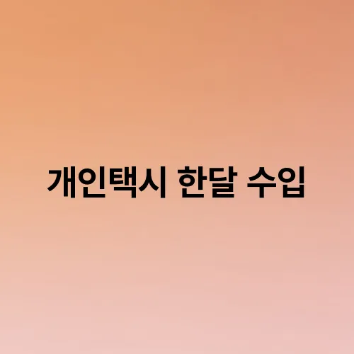 개인택시 한달 수입