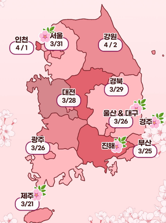 전국-벚꽃-개화시기