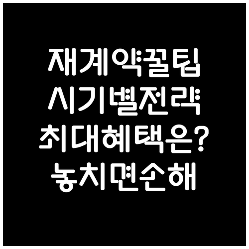 장기렌트 재계약, 시기별 전략과 혜택..