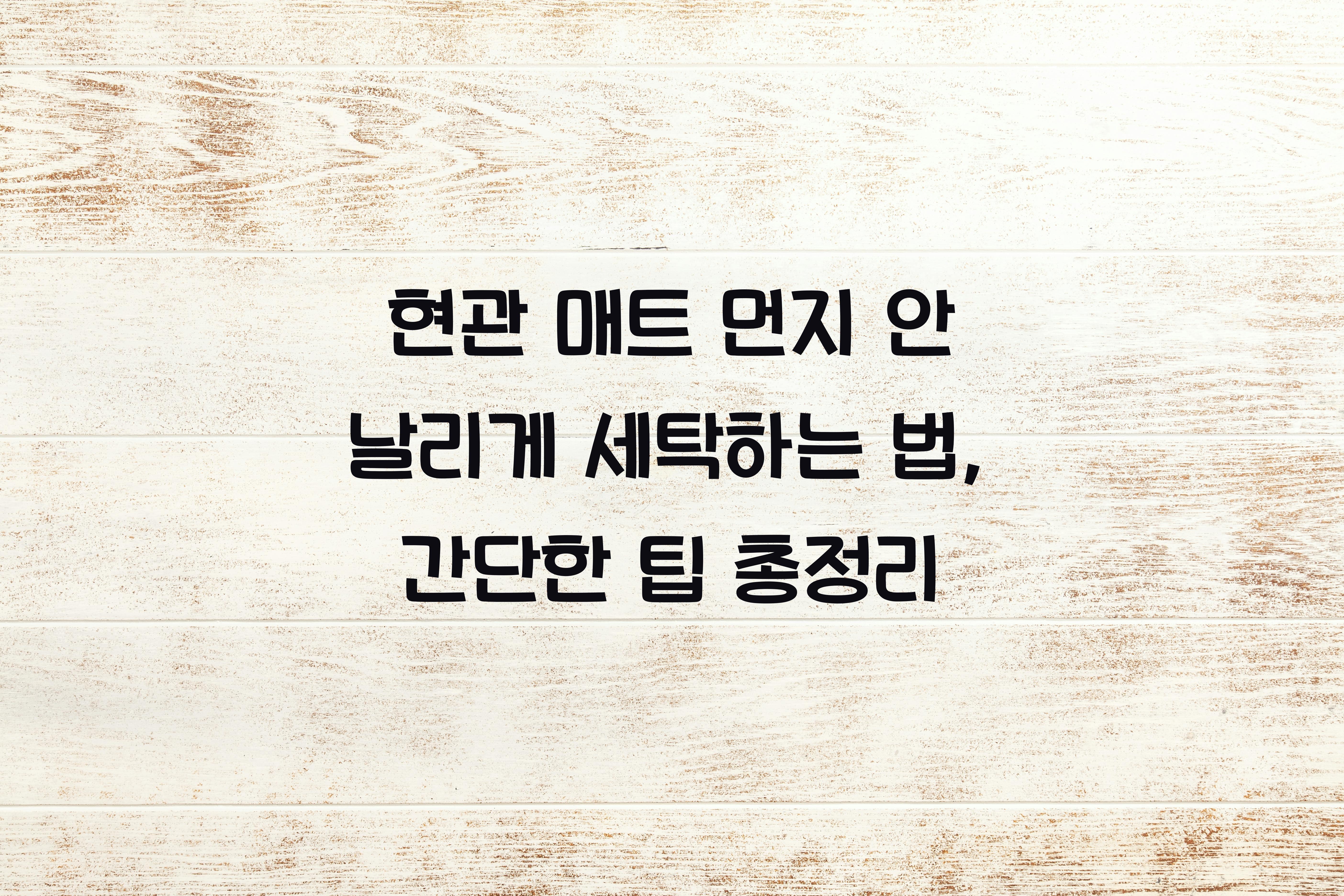 현관 매트 먼지 안 날리게 세탁하는 법