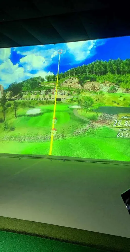 뉴월드스크린골프