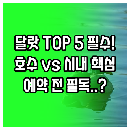 달랏 숙소 TOP 5 비교 분석 시내..