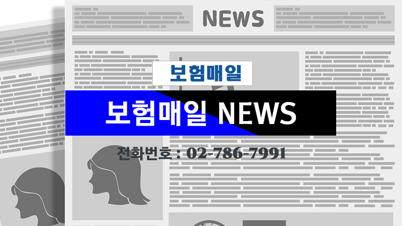 보험매일