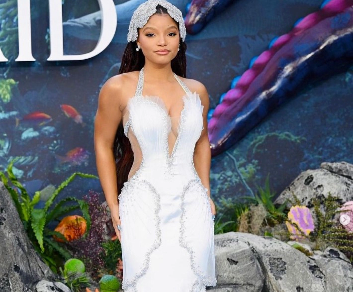 할리 베일리 프로필