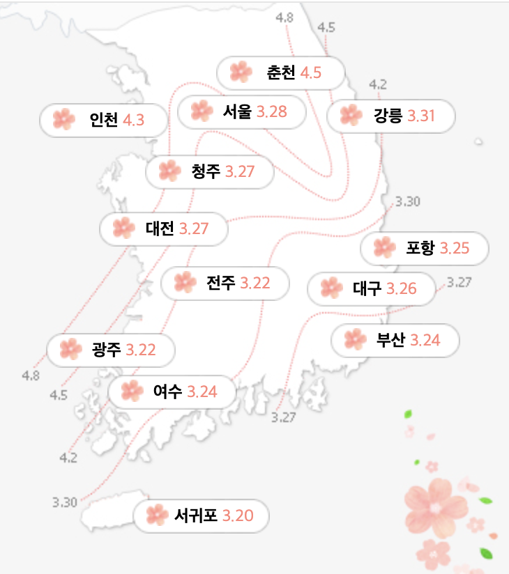 2022 벚꽃 개화시기