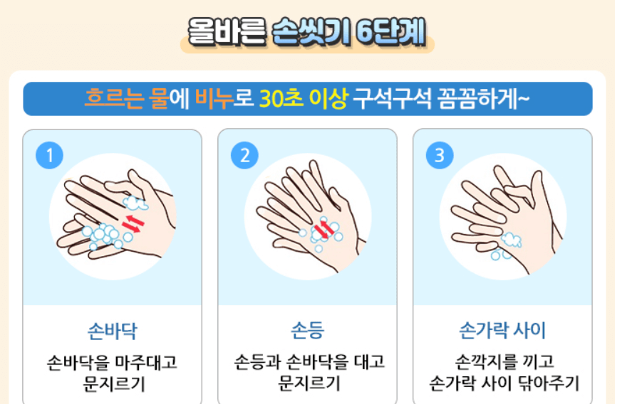 노로바이러스에 대한 오해와 진실 11가지