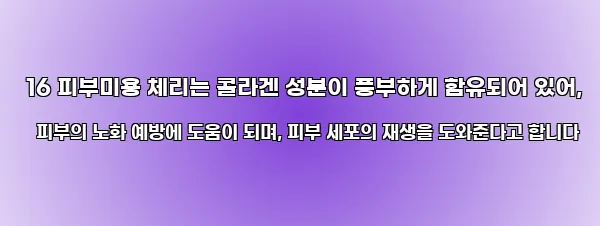  16 피부미용 체리는 콜라겐 성분이 풍부하게 함유되어 있어, 피부의 노화 예방에 도움이 되며, 피부 세포의 재생을 도와준다고 합니다