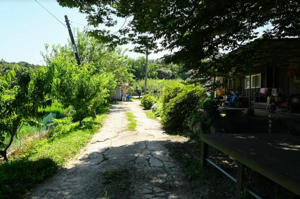 용인 숲속의아침캠핑장 후기 사진 1