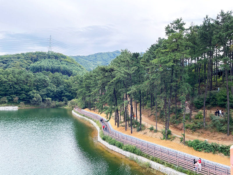 경기도 파주 마장호수출렁다리 소개