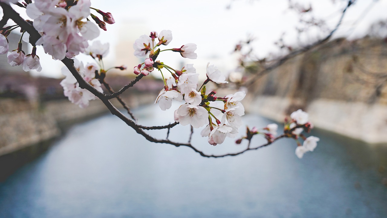 화담숲 사전예약