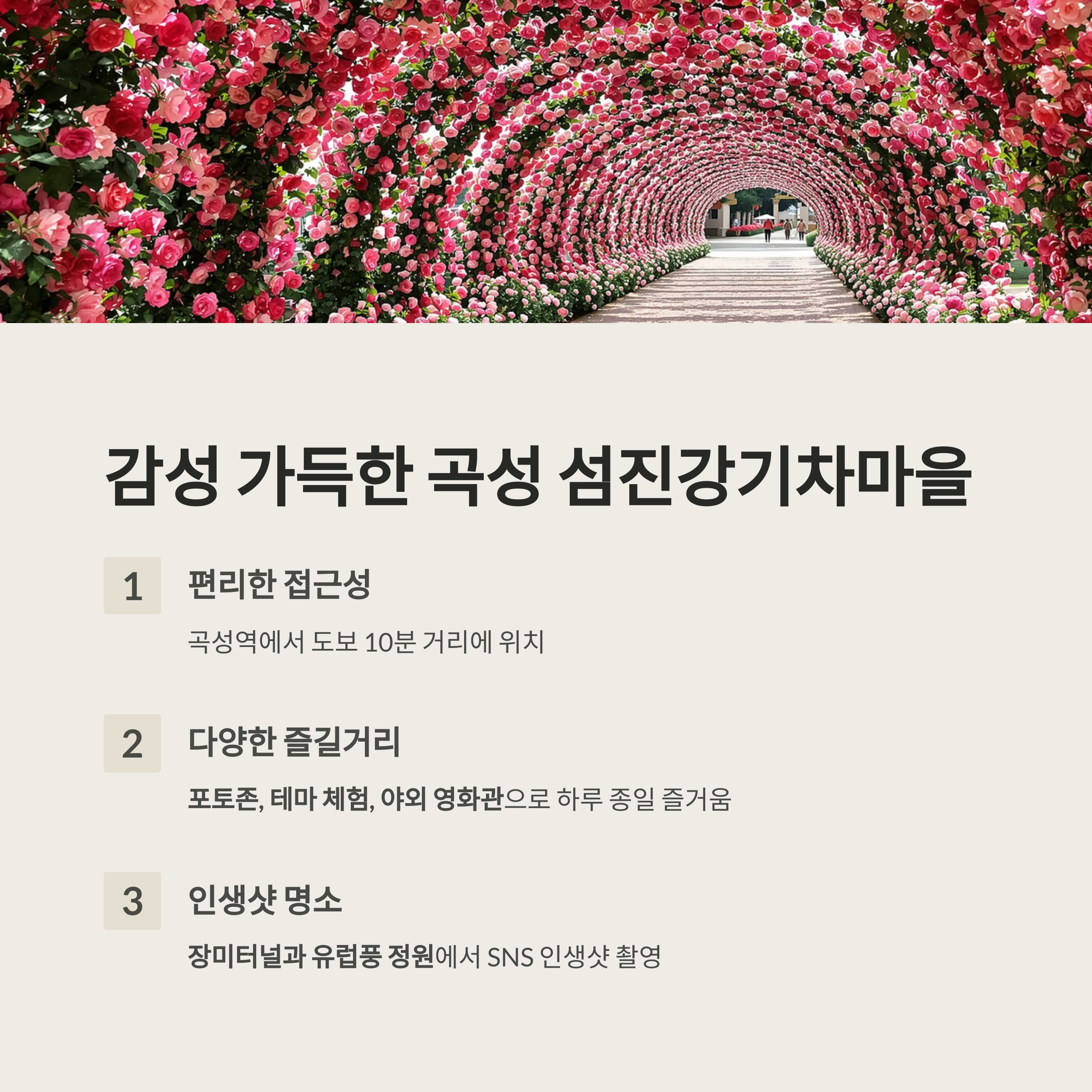 곡성세계장미축제 완벽 가이드