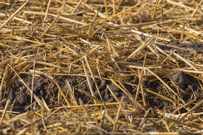 농지연금 가입조건 가입절차 및 제출서류