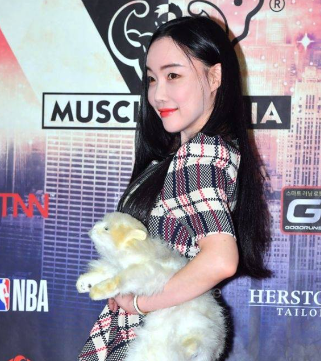 낸시랭 음주운전 적발