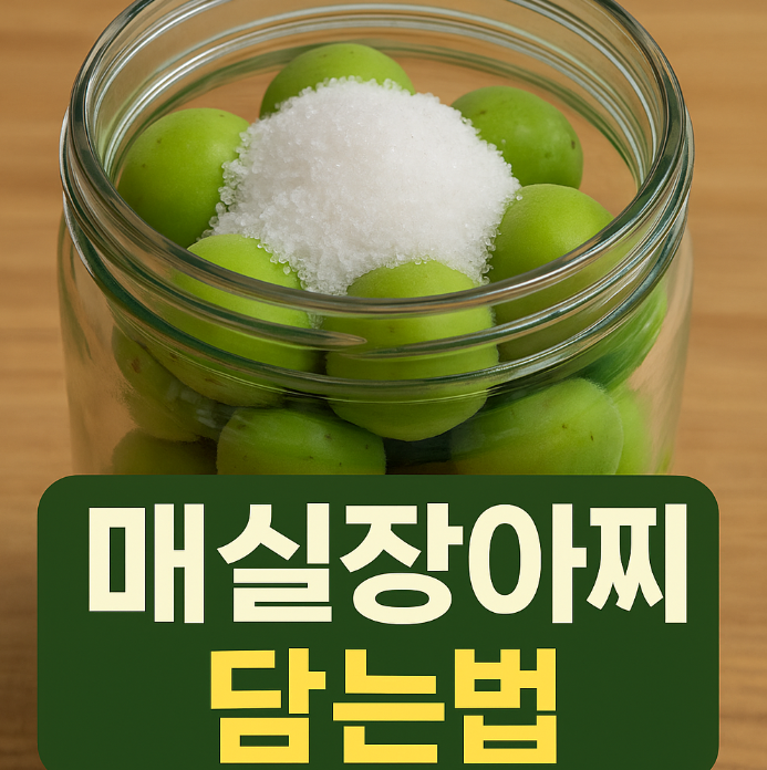 매실장아찌 담는법