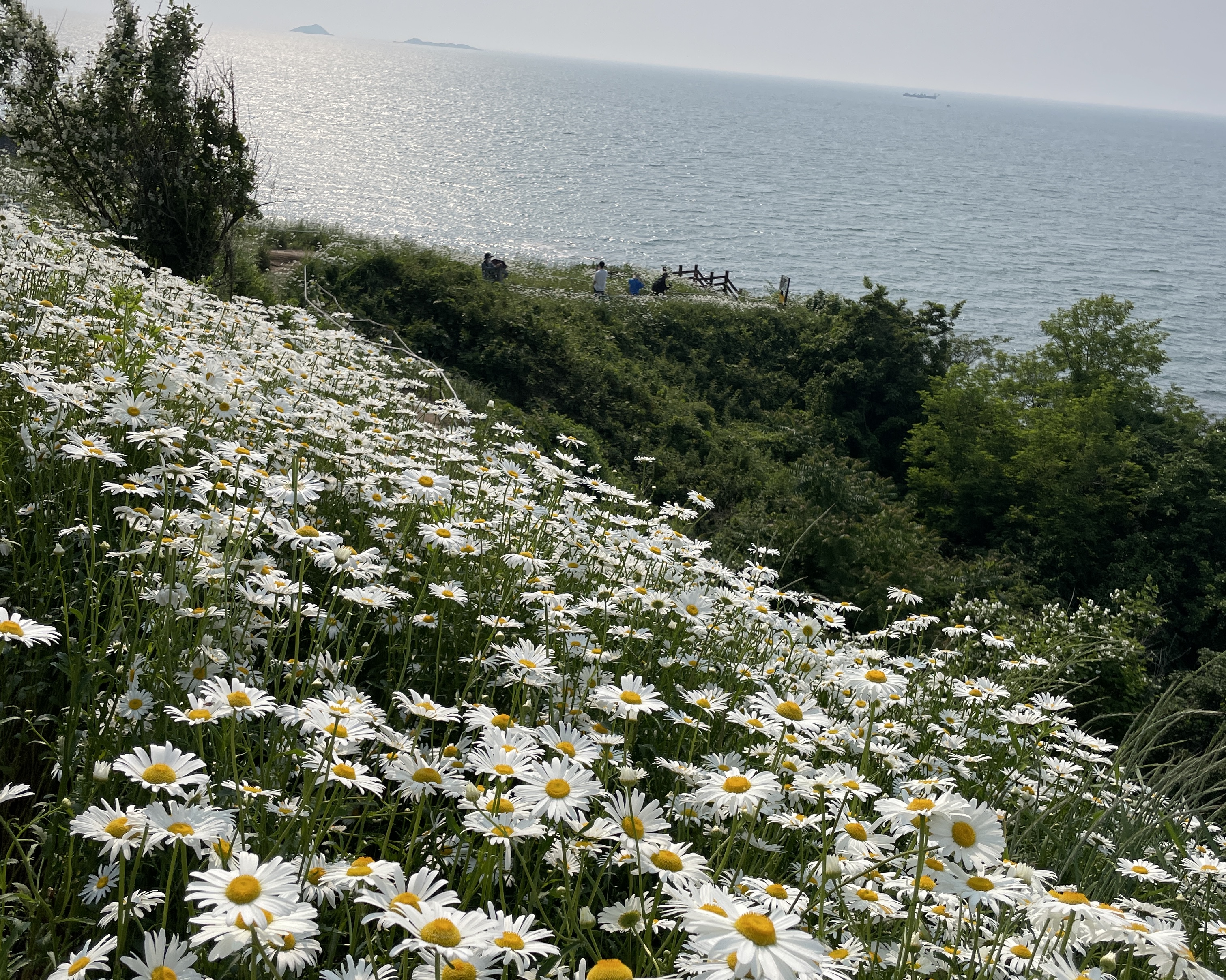 부안변산마실길2코스