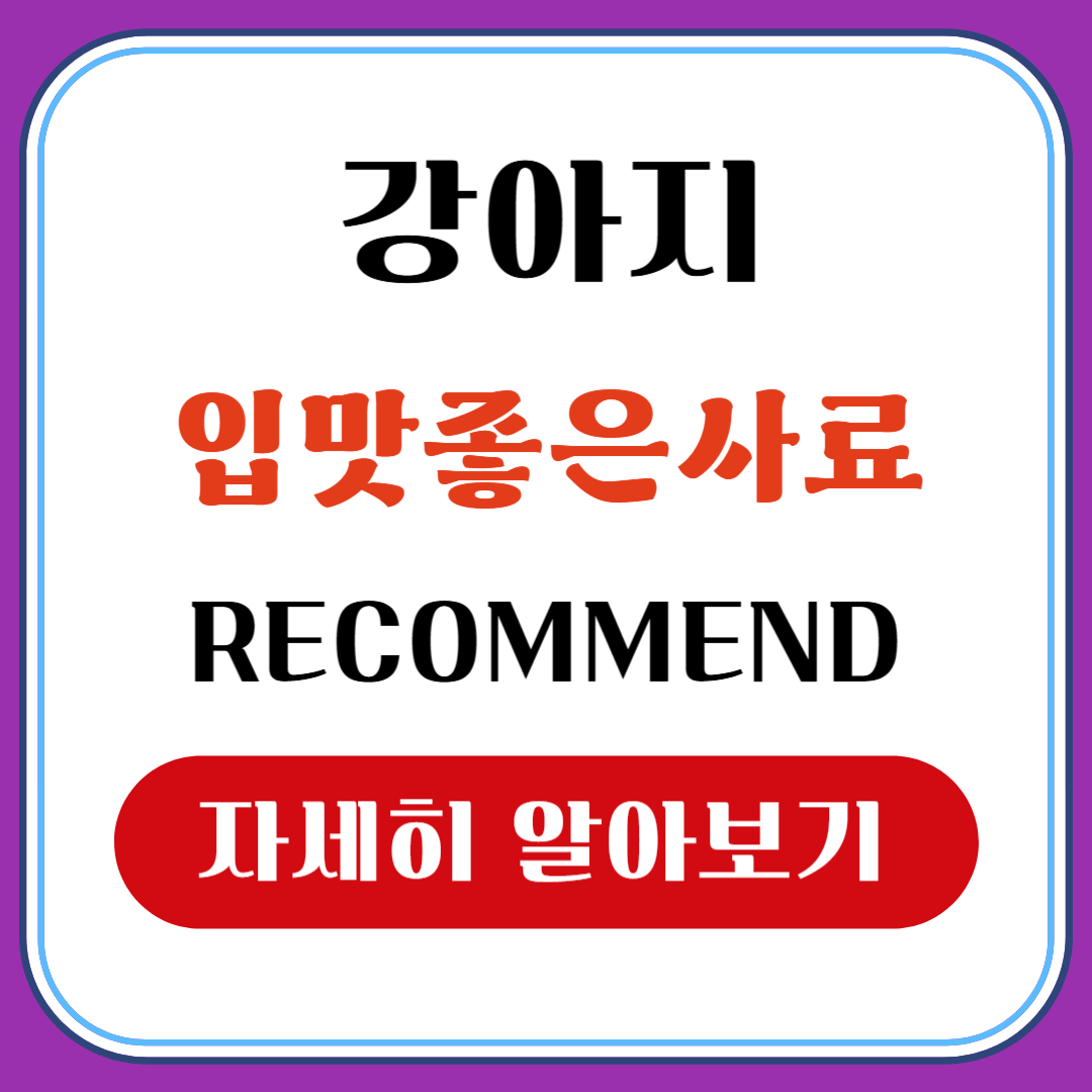 강아지 입맛 좋은 사료
